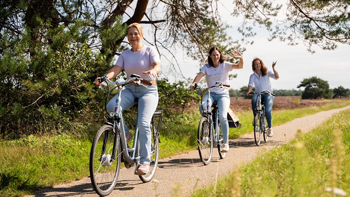 7-Gang-Unisex-Fahrrad inkl. Eintritt Park Hoge Veluwe auf der Veluwe in 