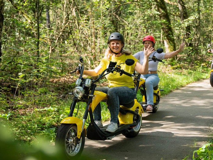 Klettern in der Veluwe 