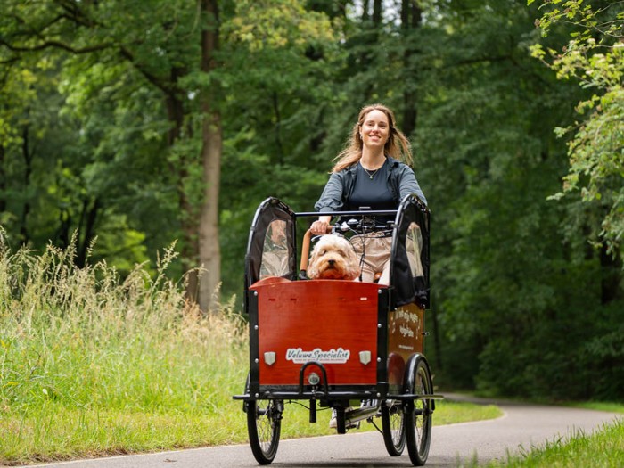 Klettern in der Veluwe 