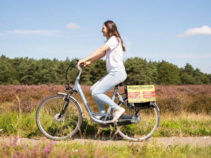 Klettern in der Veluwe 
