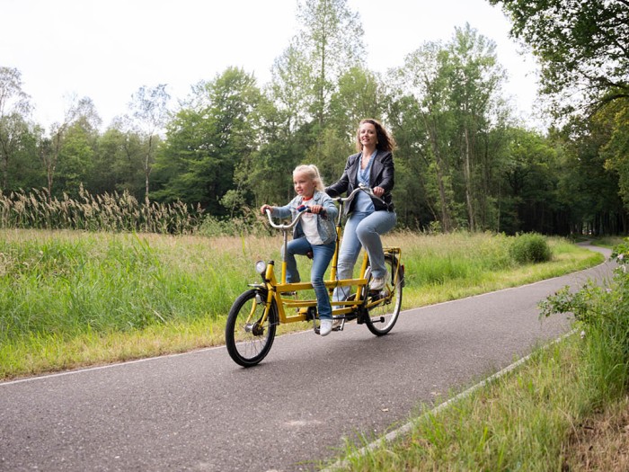 Klettern in der Veluwe 