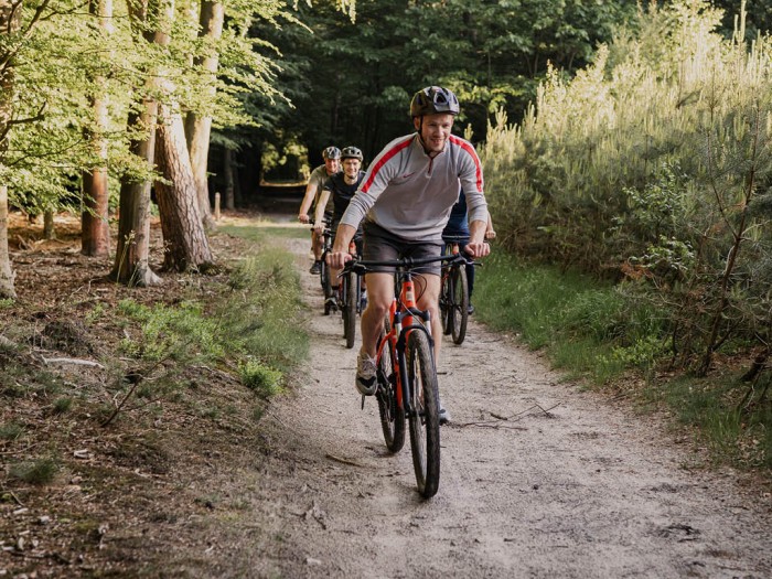 Klettern in der Veluwe 