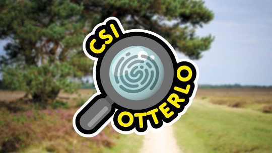 Aktivität / Tagesausflug CSI Otterlo auf der Veluwe