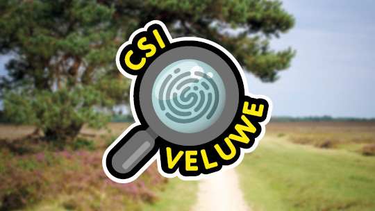 Aktivität / Tagesausflug CSI Staverden auf der Veluwe