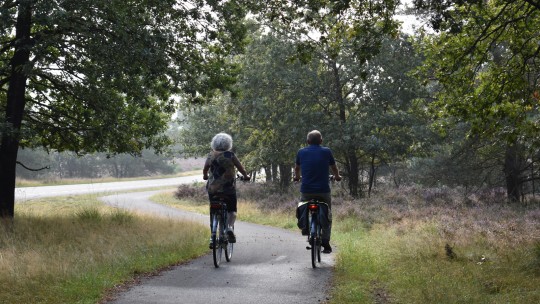 Aktivität / Tagesausflug 7-Gang Unisex Fahrrad inkl. Eintritt Park Hoge Veluwe auf der Veluwe