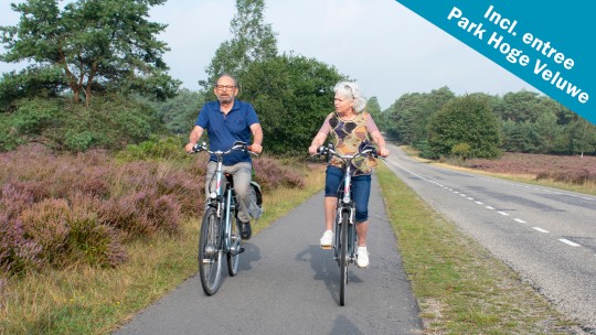 Aktivität / Tagesausflug 7-Gang Unisex Fahrrad inkl. Eintritt Park Hoge Veluwe auf der Veluwe