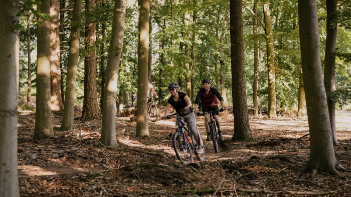  auf der Veluwe in 