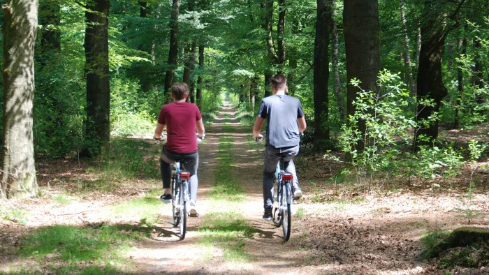  auf der Veluwe in 