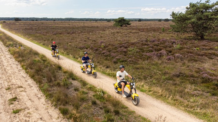  auf der Veluwe in 