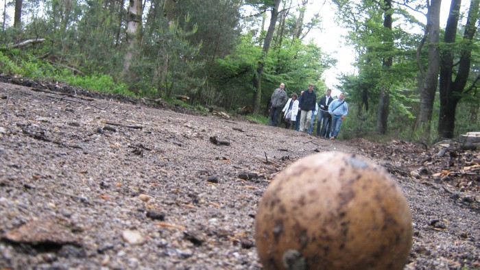  auf der Veluwe in 