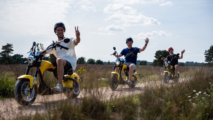  auf der Veluwe in 