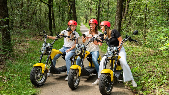  auf der Veluwe in 