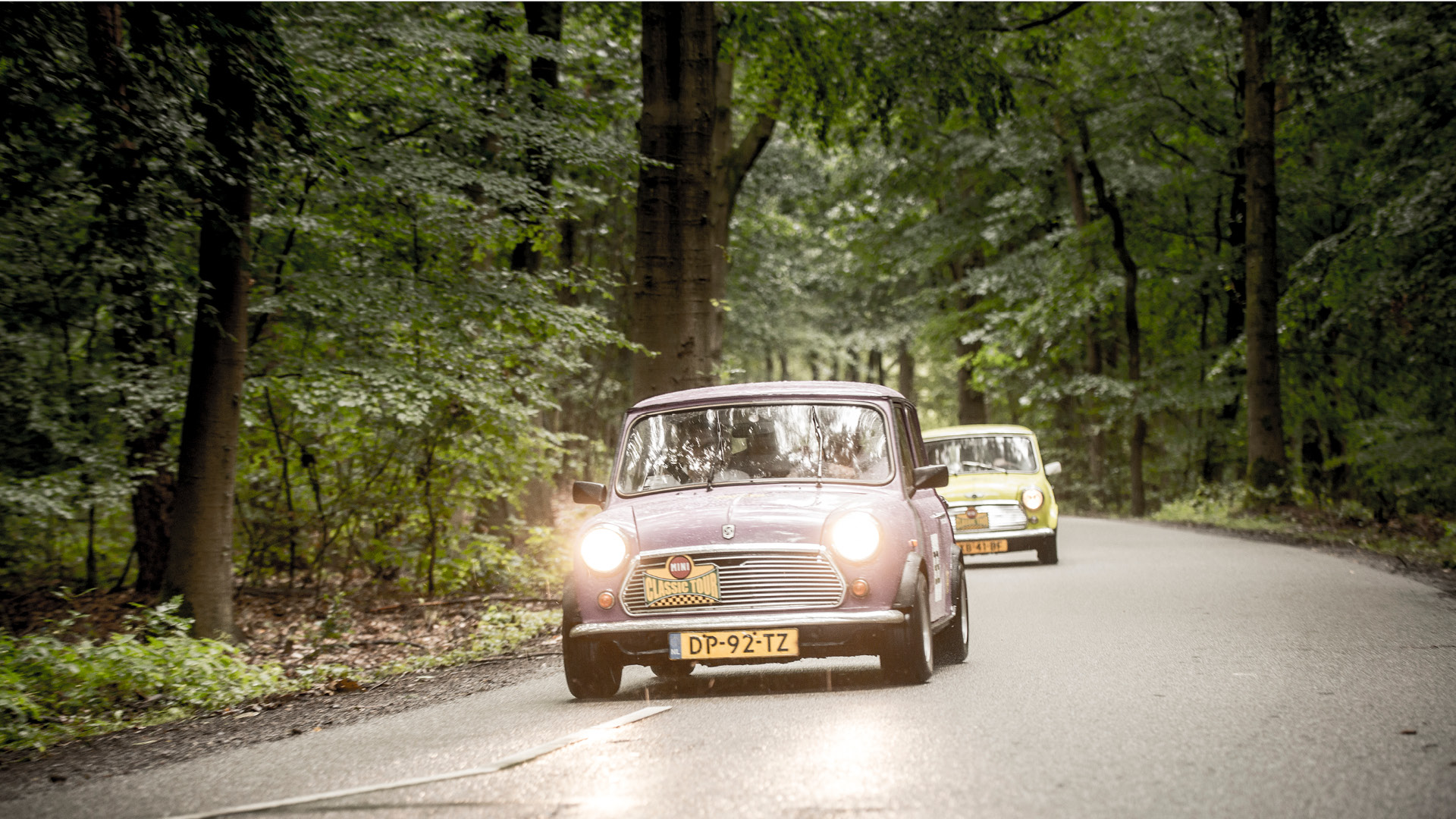  auf der Veluwe in 