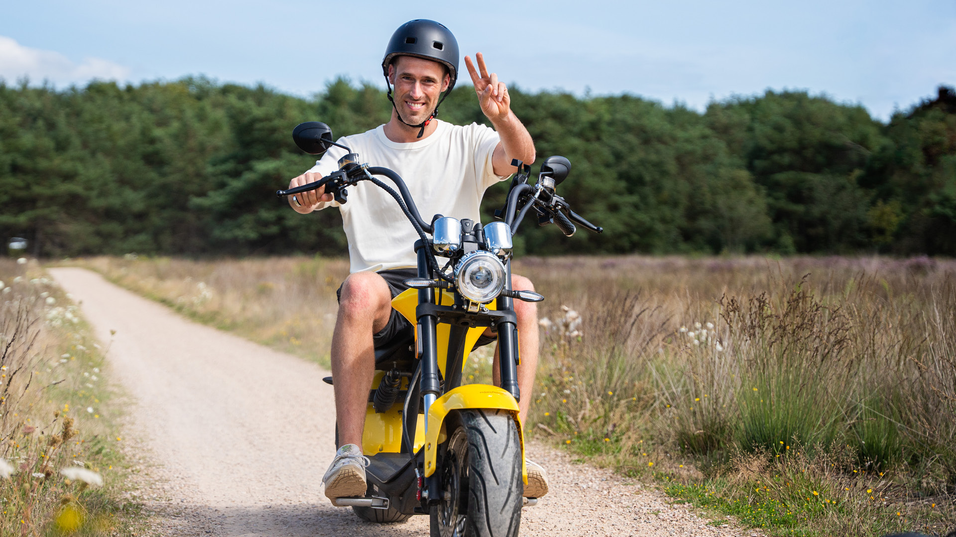  auf der Veluwe in 