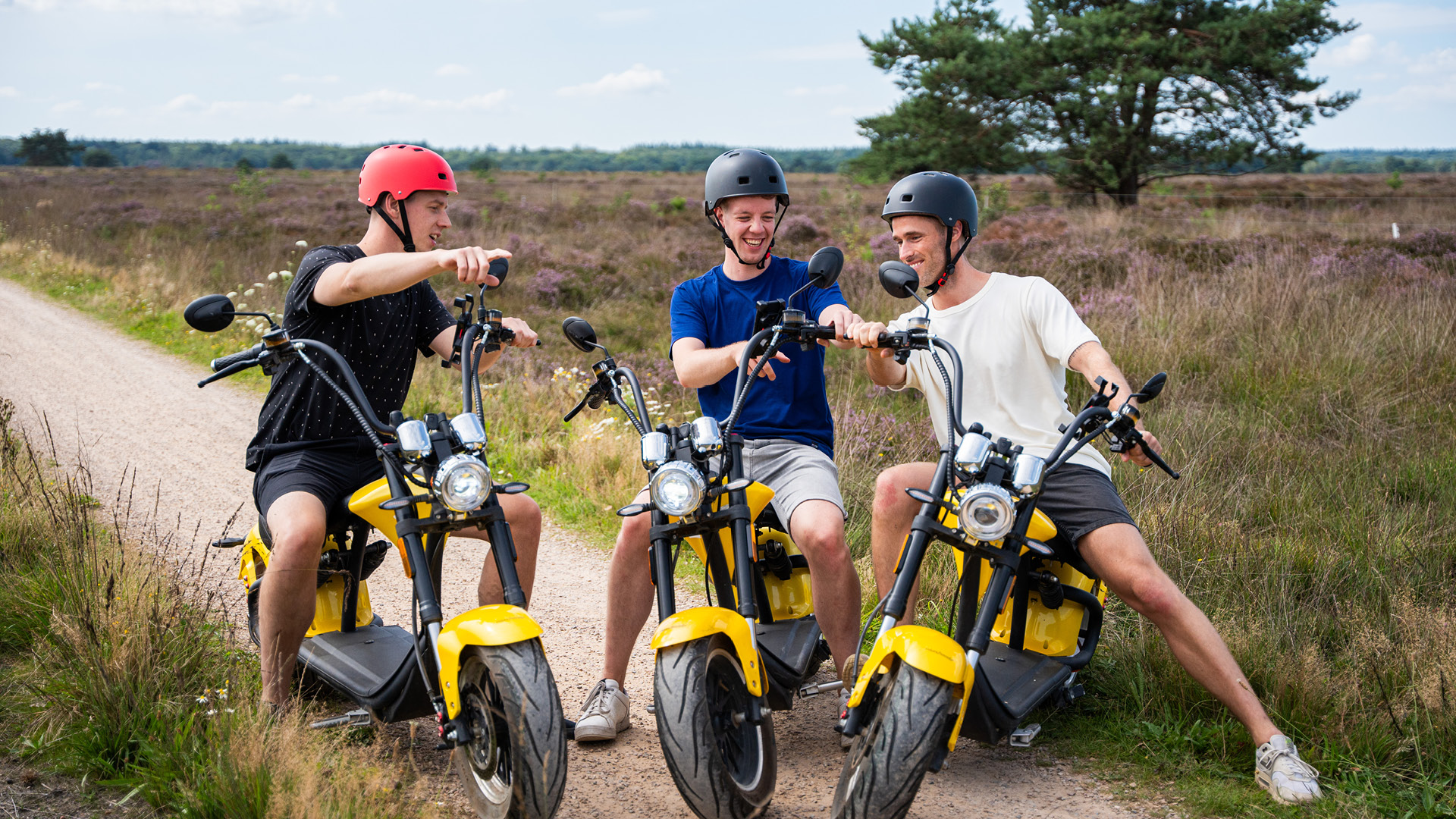  auf der Veluwe in 