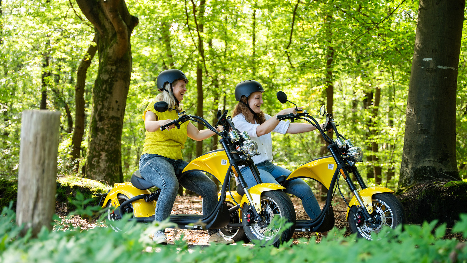  auf der Veluwe in 