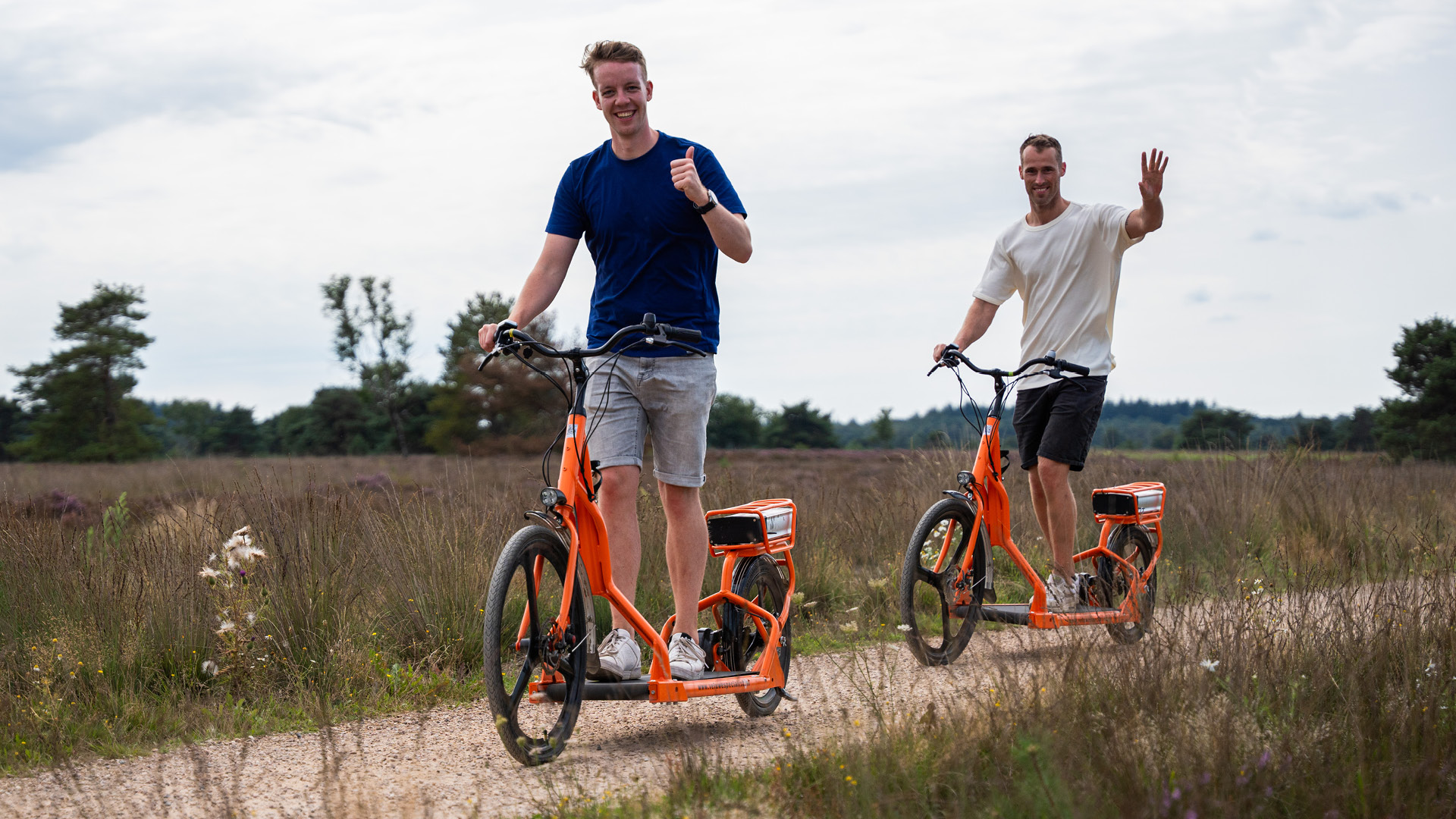  auf der Veluwe in 