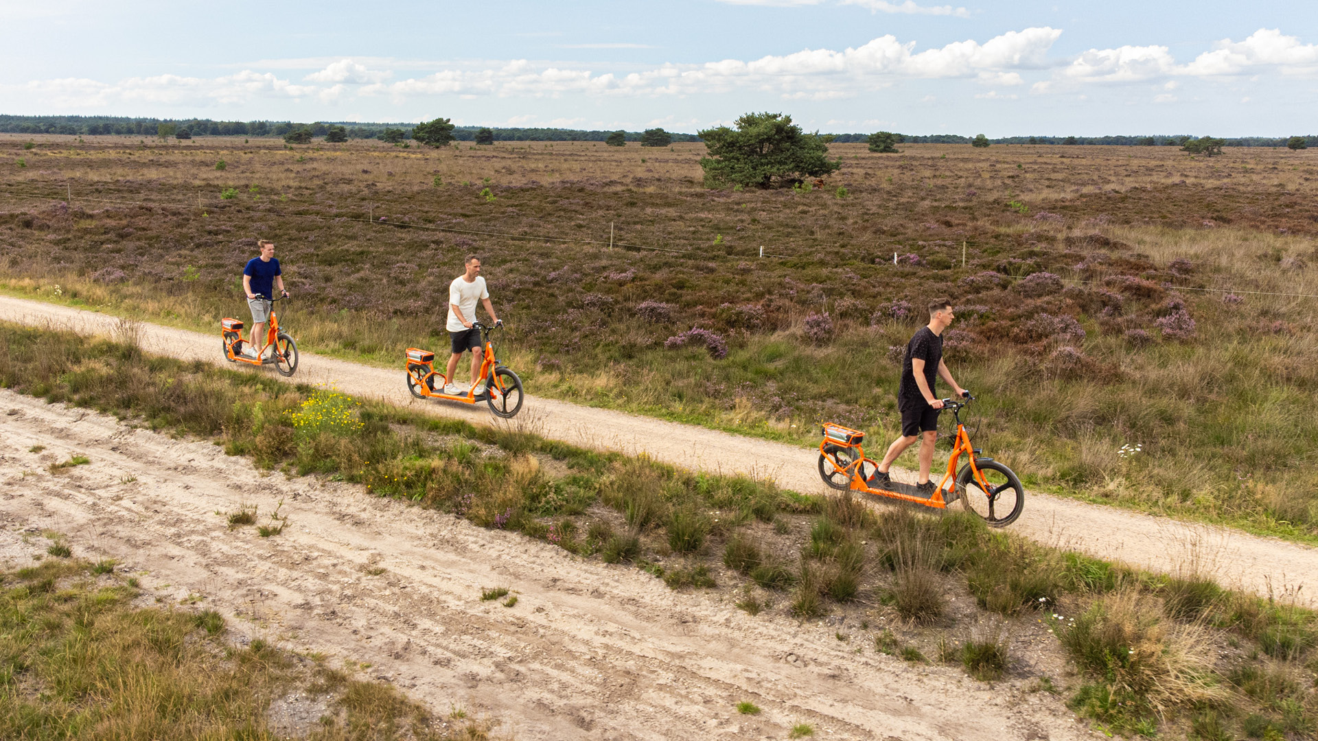  auf der Veluwe in 