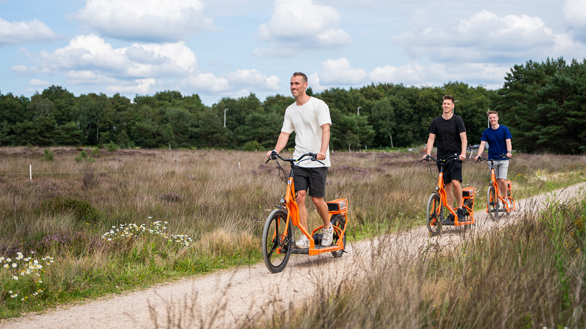  auf der Veluwe in 