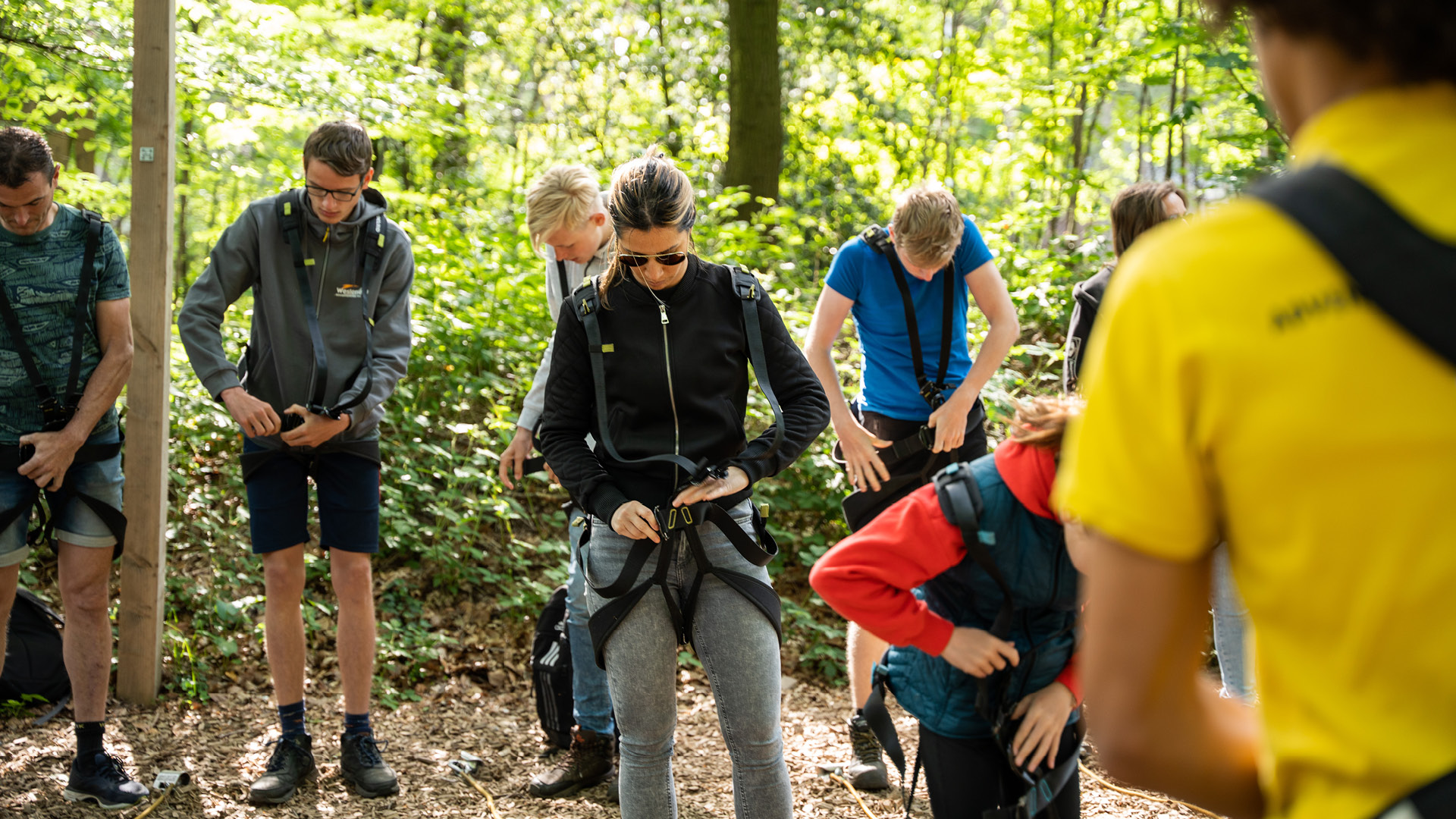  auf der Veluwe in 