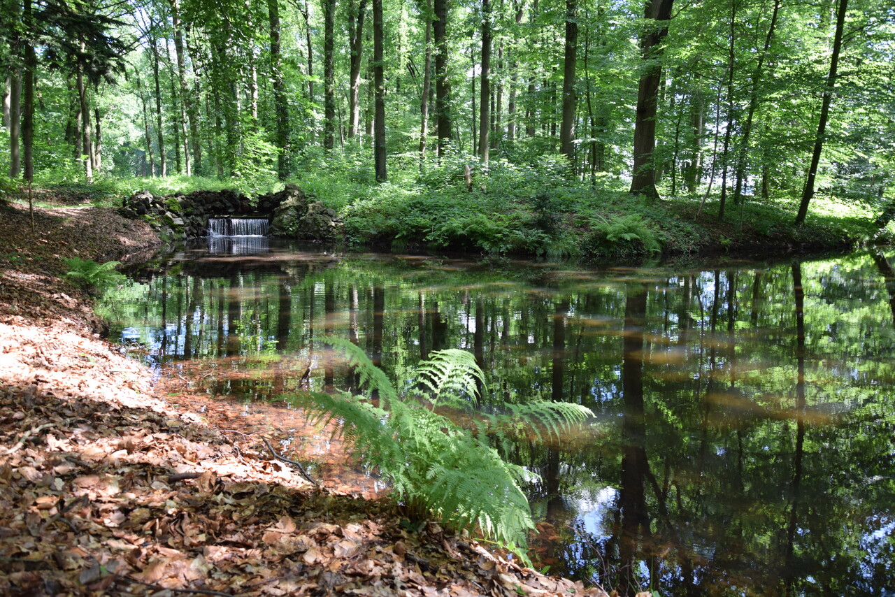 Spaziergang durch das Landgut Biljoen