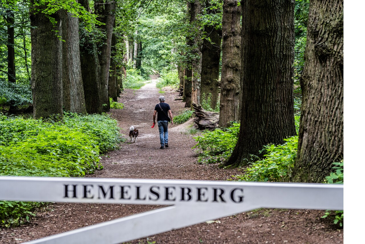 Gutswanderung, Heavenly Mountain, Pietersberg und Low Origin