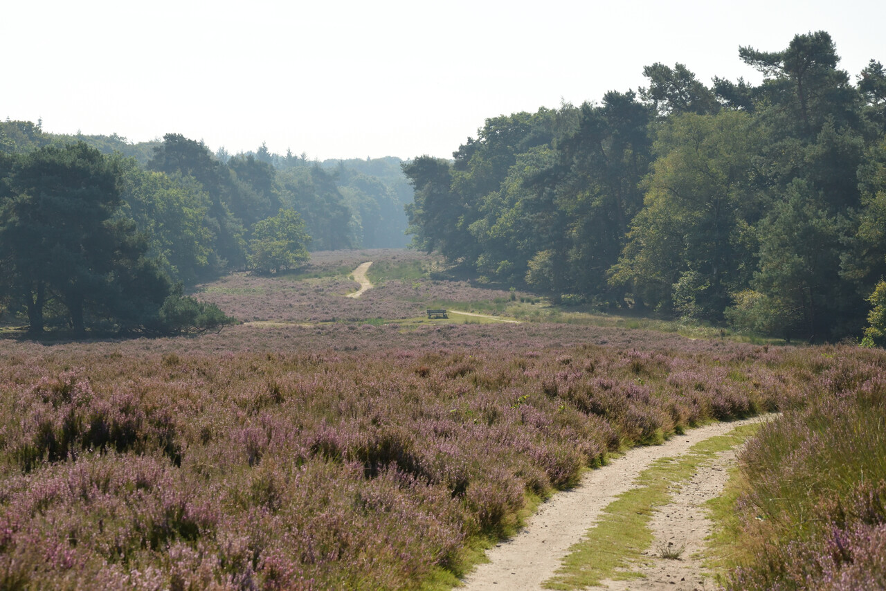 Heidewanderung, Anwesen Warnsborn