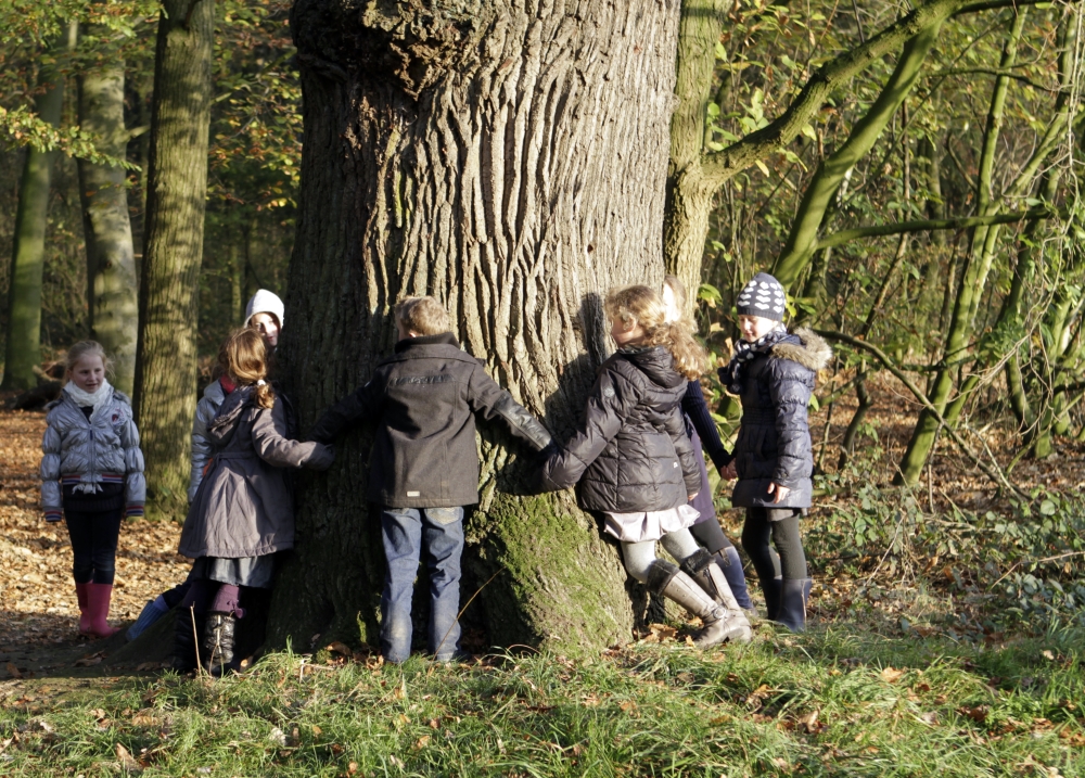 Aktivität für Kinder, Landgut Schaffelaar