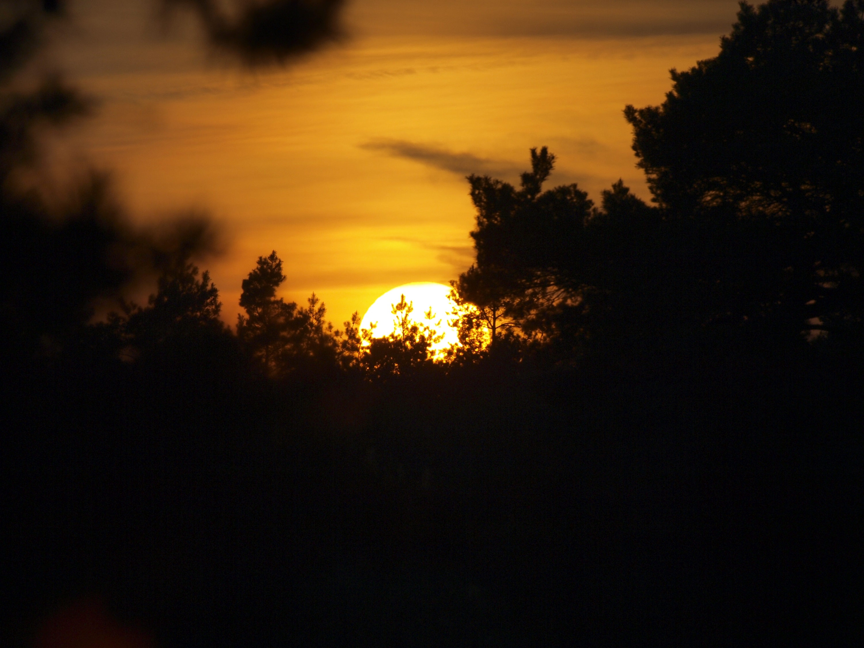 Nacht der Nacht, Tongeren Heath