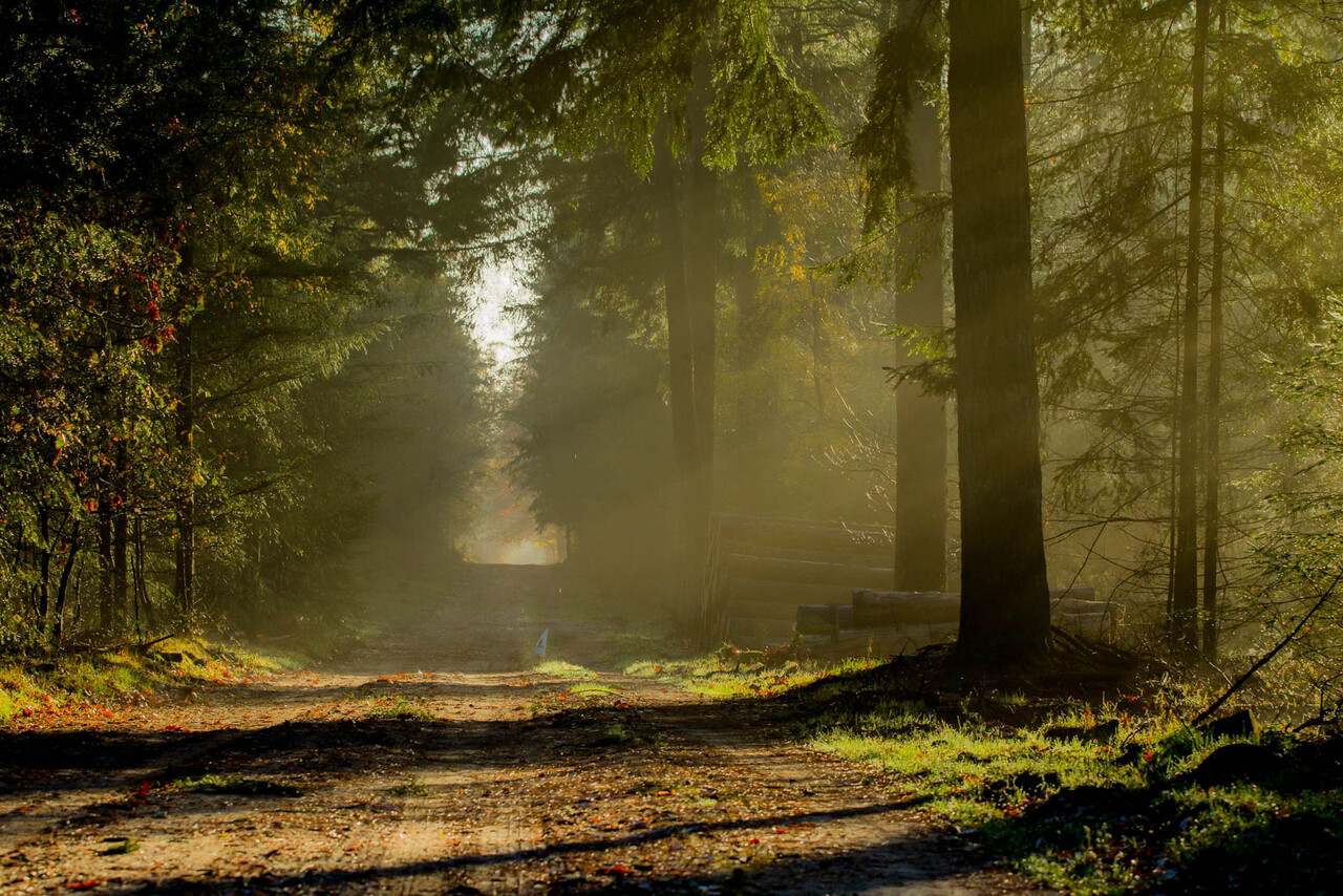 Harte Winterwanderung, Landgut De Dellen
