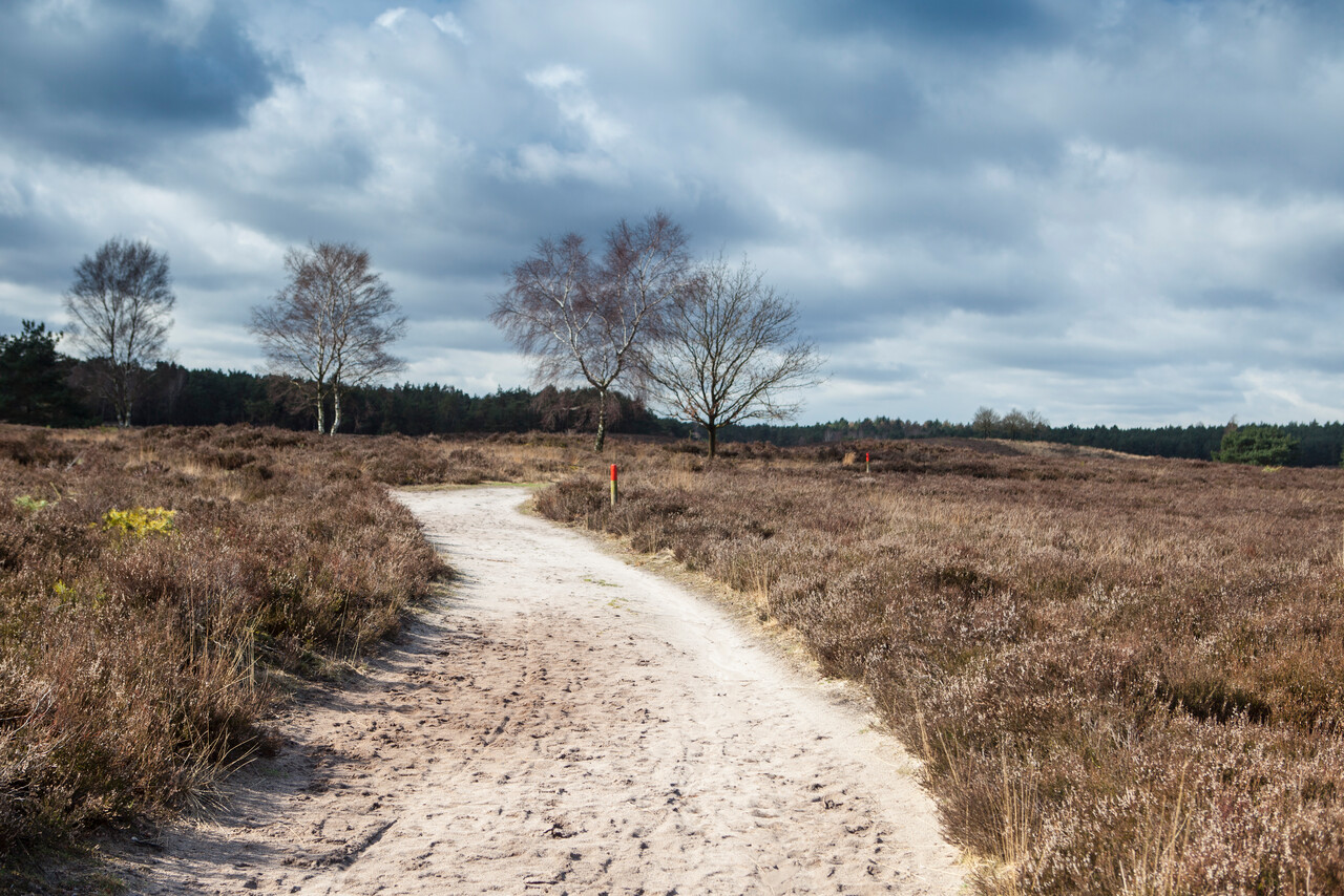 Natur im Wandel, Tongeren Heath