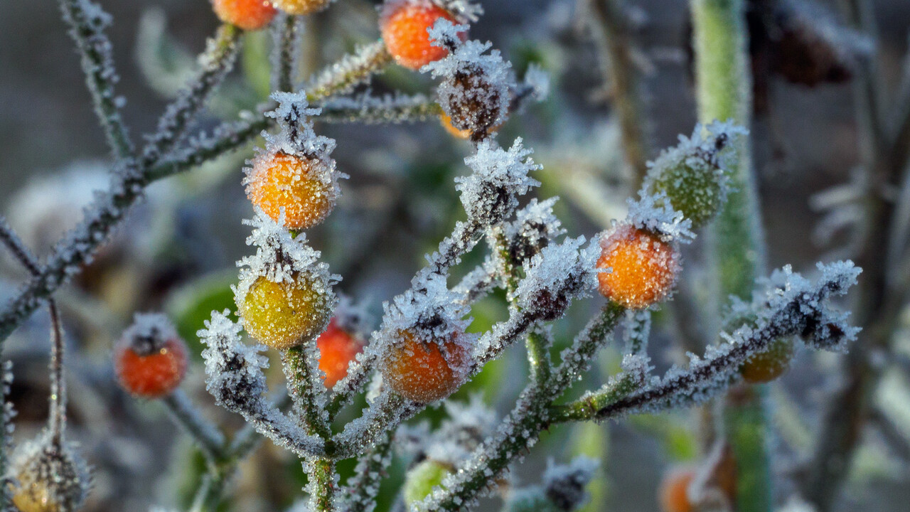 Winterwanderung, Landgut Warnsborn