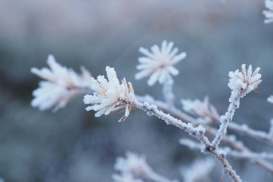Winterwanderung auf dem Sysselt
