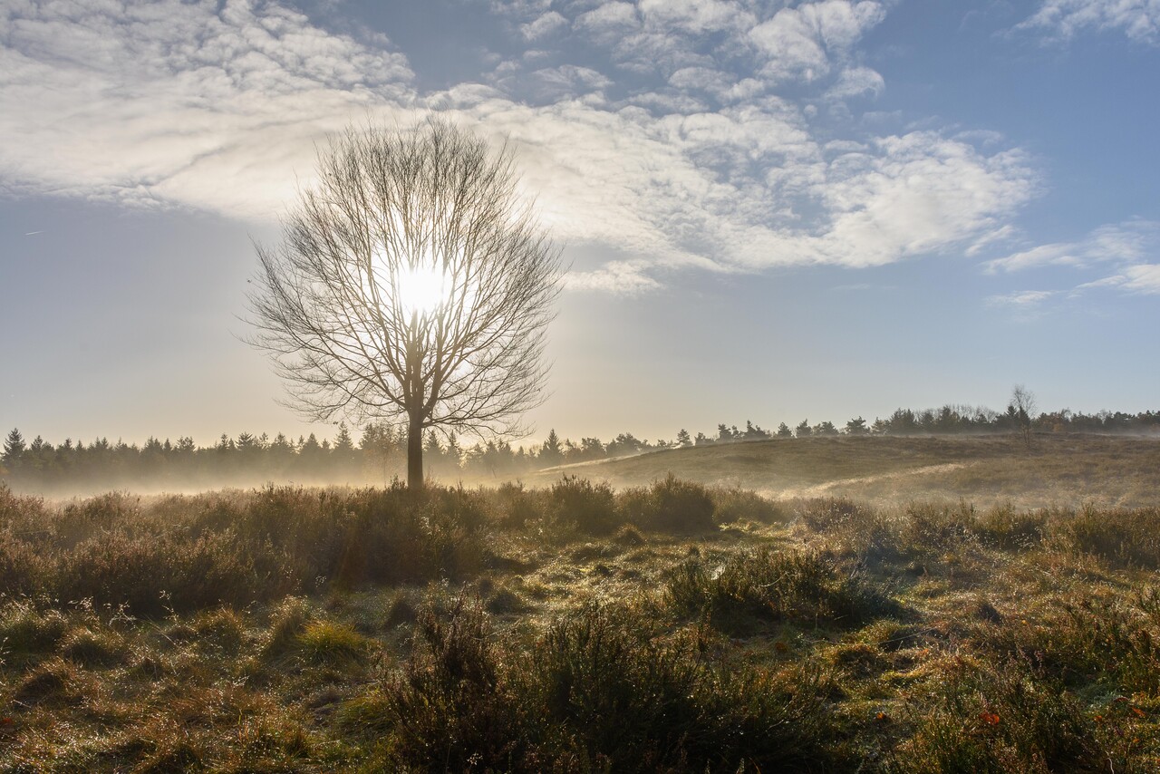Frischer Morgenspaziergang auf dem Landgut Petrea