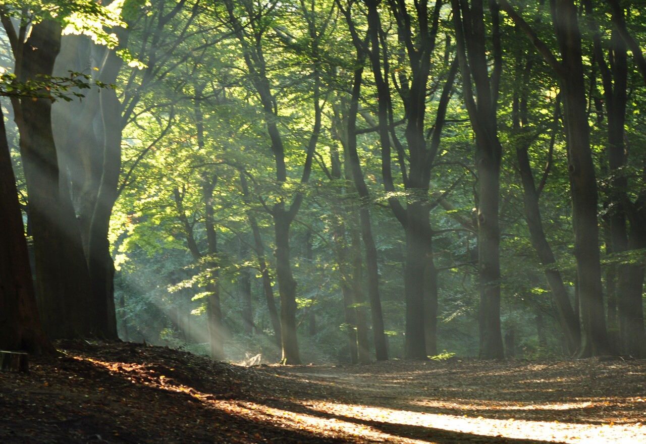 Kulturhistorischer Spaziergang, Landgut Hoekelum