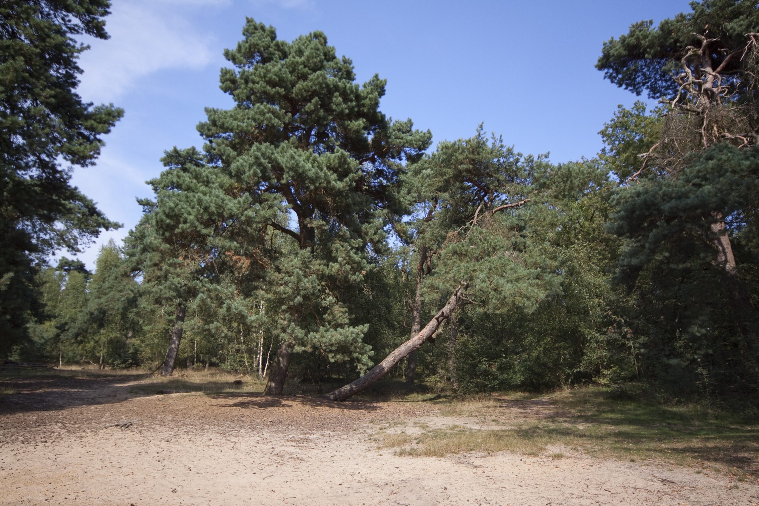 Lange Wanderung, Sysselt