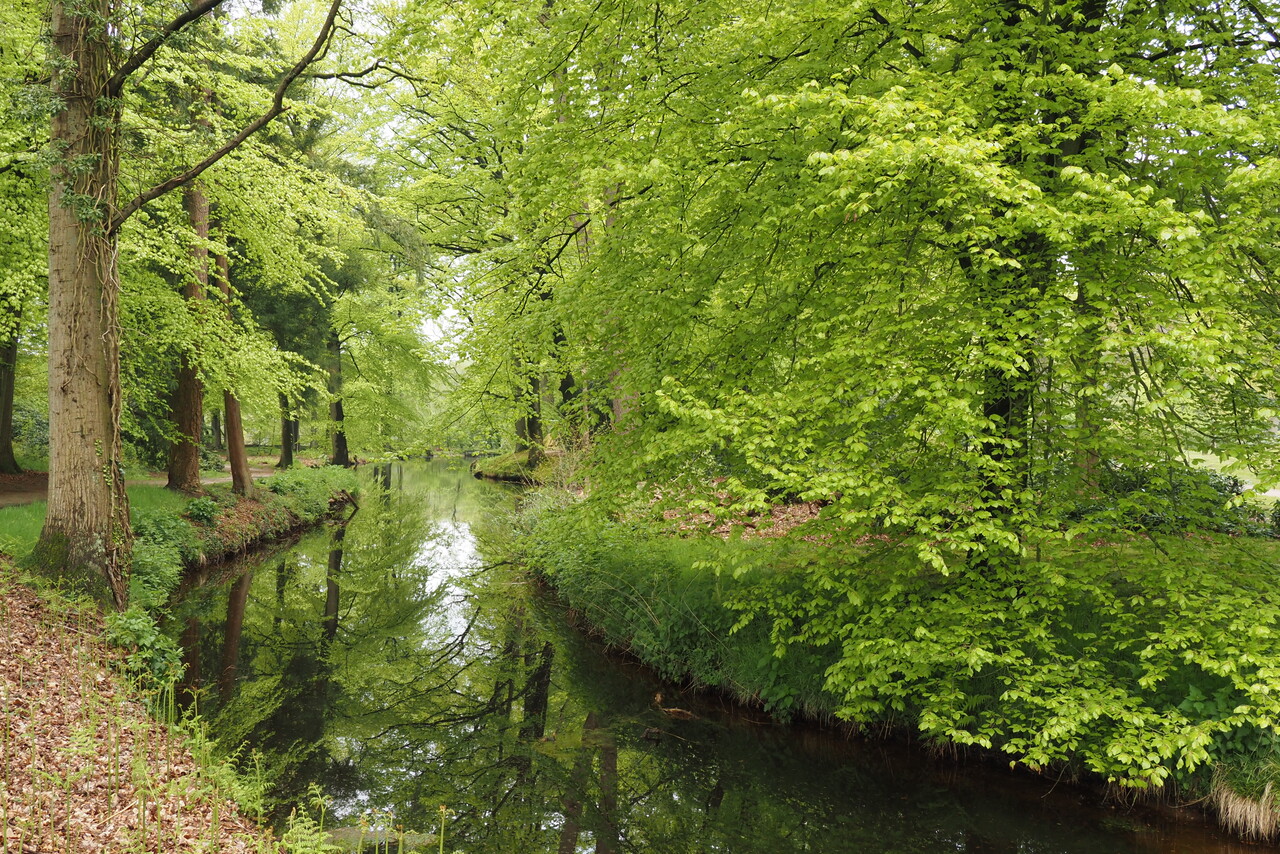 Spaziergang mit dem Förster über das Landgut Staverden