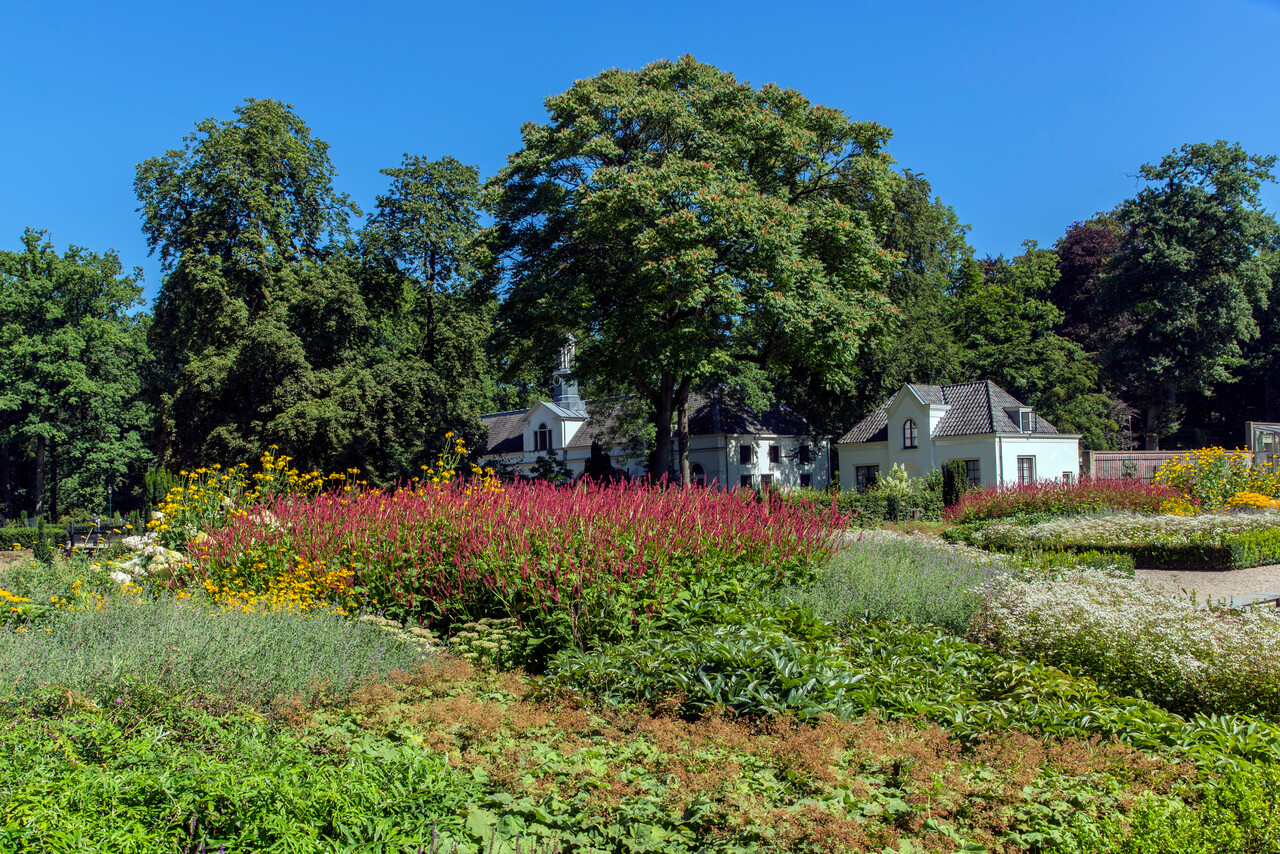 Verborgene Schätze des Landguts Staverden